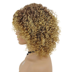 Medium Length Curly Synthetic Wig