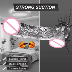Suction Cup Dildo in 4 Sizes